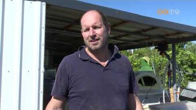 Napsütéses, igazi szőlőérlelő időben zajlott a termés betakarítása a Bene-hegyi tó mellett Napsütéses, igazi szőlőérlelő időben zajlott a termés betakarítása a Bene-hegyi tó mellett