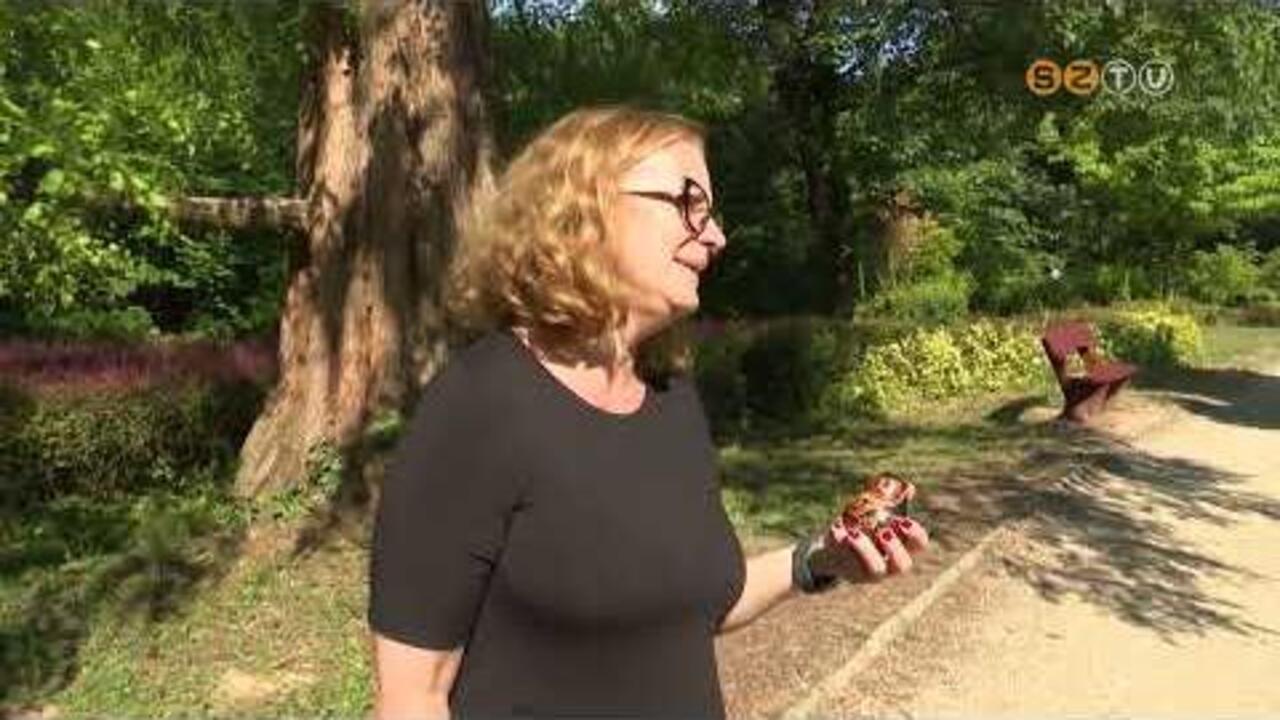 Új lakók költöztek a Kámoni Arborétumba Új lakók költöztek a Kámoni Arborétumba