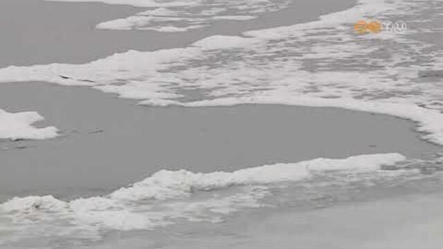 A tartós hidegnek köszönhetően vastag jégréteg alakult ki a vasi tavakon A tartós hidegnek köszönhetően vastag jégréteg alakult ki a vasi tavakon