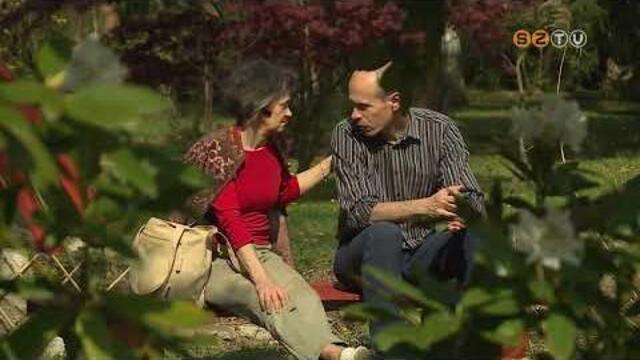 Új látványossággal bővült a Kámoni Arborétum: japánkertet alakítottak ki a középső tó szigetén Új látványossággal bővült a Kámoni Arborétum: japánkertet alakítottak ki a középső tó szigetén