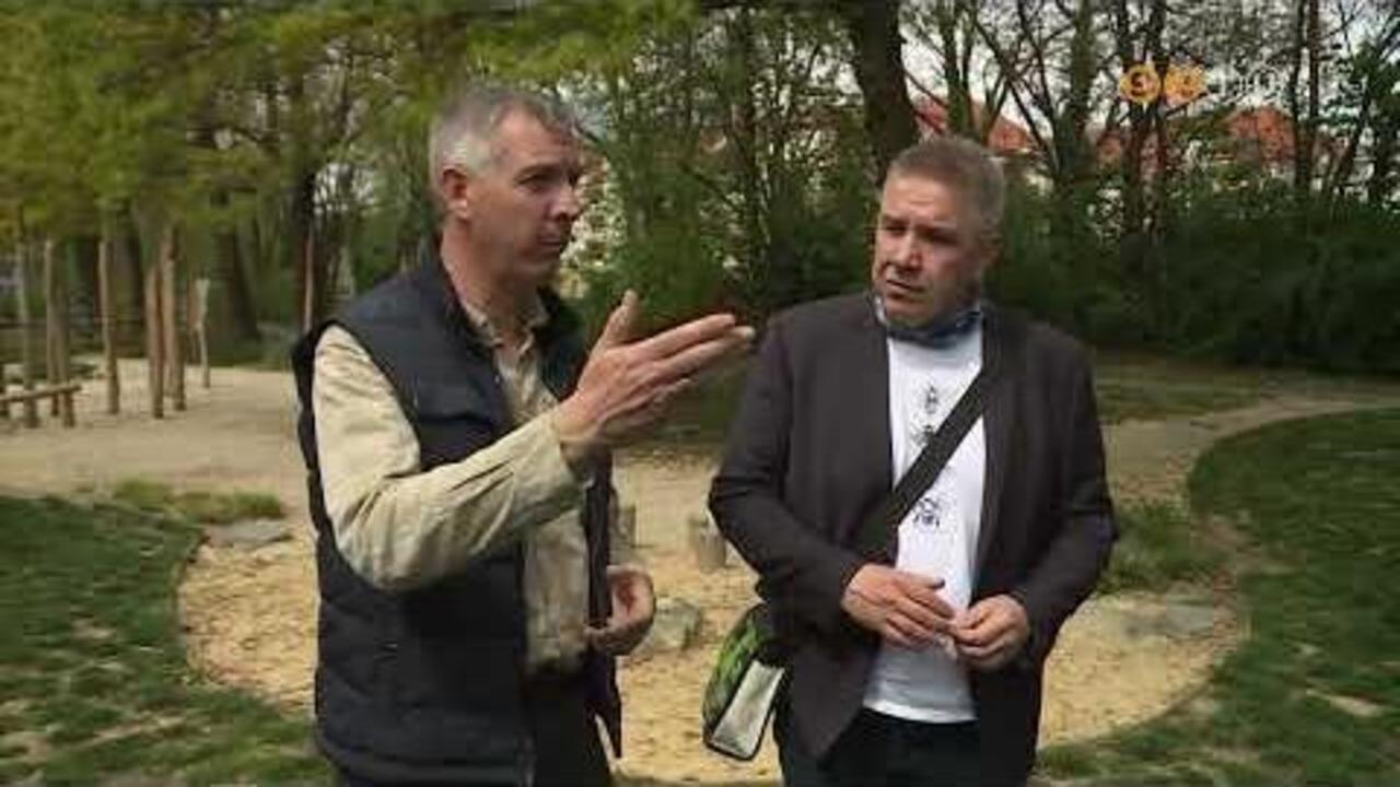 A legtöbb városban csökken a zöldfelület, Szombathely kettős helyzetben van A legtöbb városban csökken a zöldfelület, Szombathely kettős helyzetben van