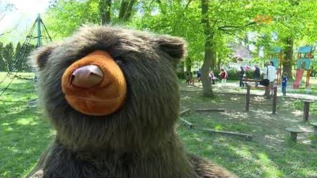 Több, mint tíz éve minden áprilisban megrendezik a Medvehagyma-virágzás Ünnepét Több, mint tíz éve minden áprilisban megrendezik a Medvehagyma-virágzás Ünnepét